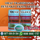 Illustration for article titled OBAT TRADISIONAL PENYAKIT EKSIM KERINGem/em